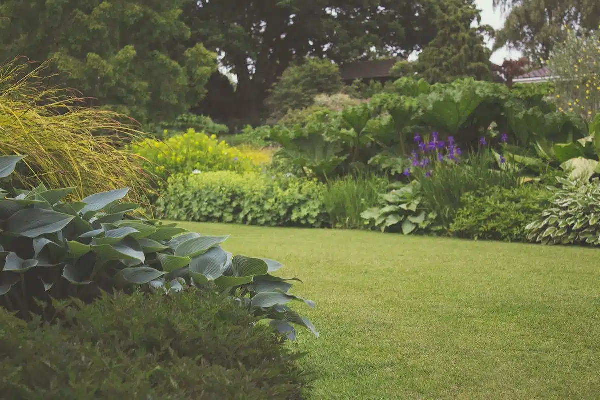 jardin aménagé